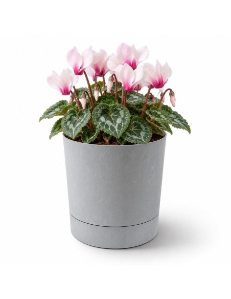 Cubremacetas redondo Ø15 × 15 cm efecto hormigón, 1,8 L – Gris hormigón | Töpferkönig