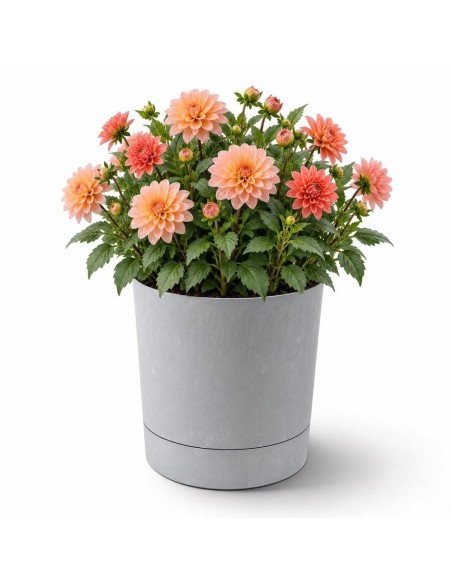 Sierpot rond Ø35 × 37 cm betonlook, 25 L – Betongrijs | Töpferkönig