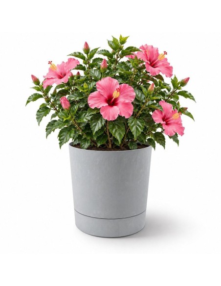 Cubremacetas redondo Ø38 × 40 cm efecto hormigón, 33 L – Gris hormigón | Töpferkönig