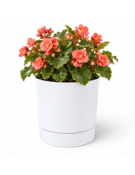 Übertopf rund Ø18 × 19 cm Matt, 2,5 L – Weiß | Töpferkönig