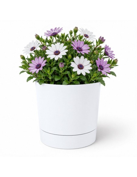Coprivaso rotondo Ø20 × 21 cm opaco, 4,7 L – Bianco | Töpferkönig