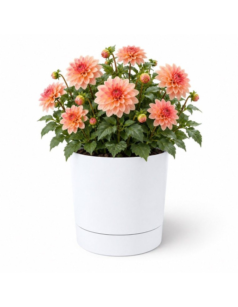 Cubremacetas redondo Ø35 × 37 cm mate, 25 L – Blanco | Töpferkönig