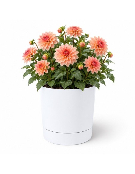 Coprivaso rotondo Ø35 × 37 cm opaco, 25 L – Bianco | Töpferkönig