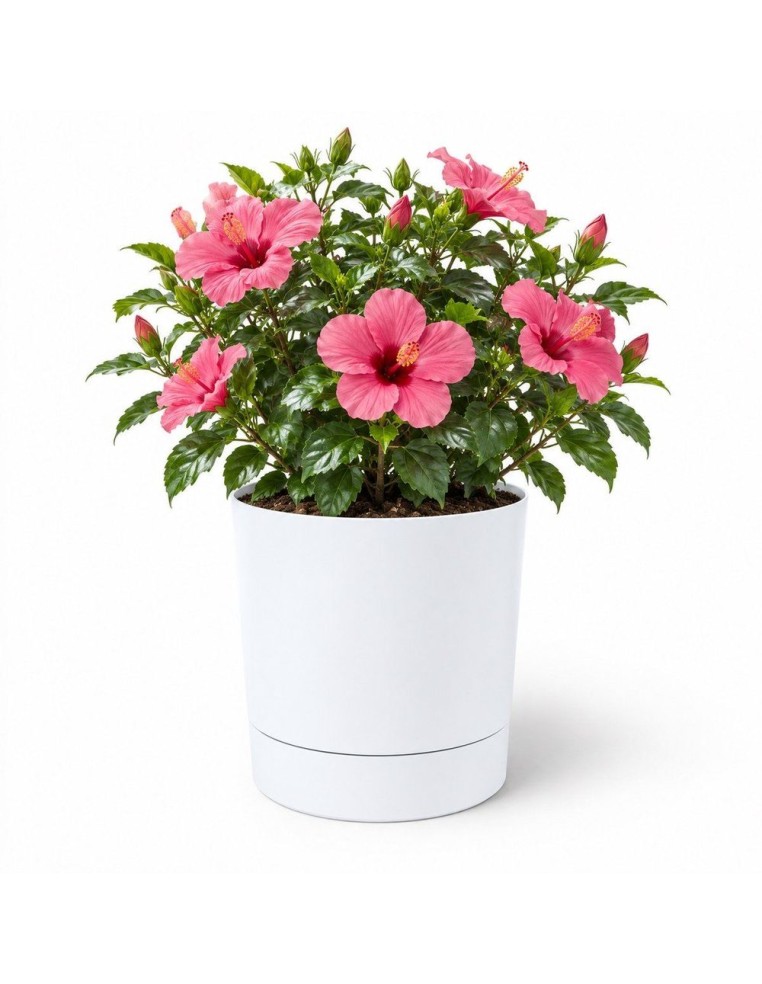 Übertopf rund Ø38 × 40 cm Matt, 33 L – Weiß | Töpferkönig