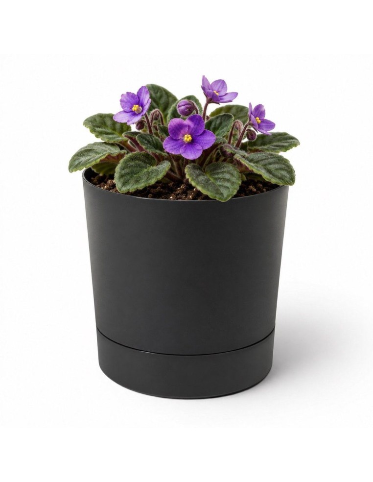 Sierpot rond Ø11 × 12 cm mat, 0,7 L – Zwart | Töpferkönig