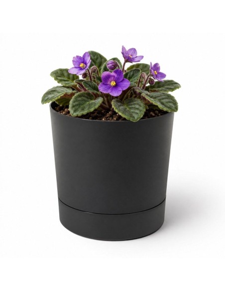 Sierpot rond Ø11 × 12 cm mat, 0,7 L – Zwart | Töpferkönig