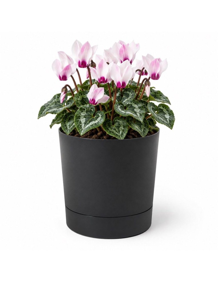 Cache-pot rond Ø15 × 15 cm mat, 1,8 L – Noir | Töpferkönig
