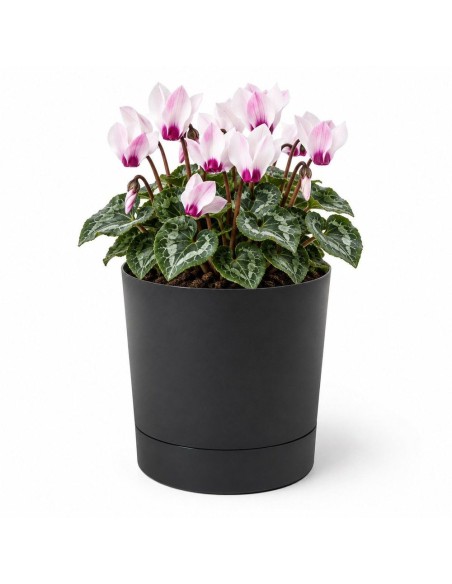 Sierpot rond Ø15 × 15 cm mat, 1,8 L – Zwart | Töpferkönig