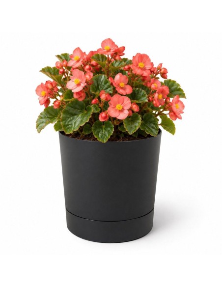 Sierpot rond Ø18 × 19 cm mat, 2,5 L – Zwart | Töpferkönig