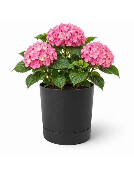 Cubremacetas redondo Ø33 × 34 cm mate, 20 L – Negro | Töpferkönig