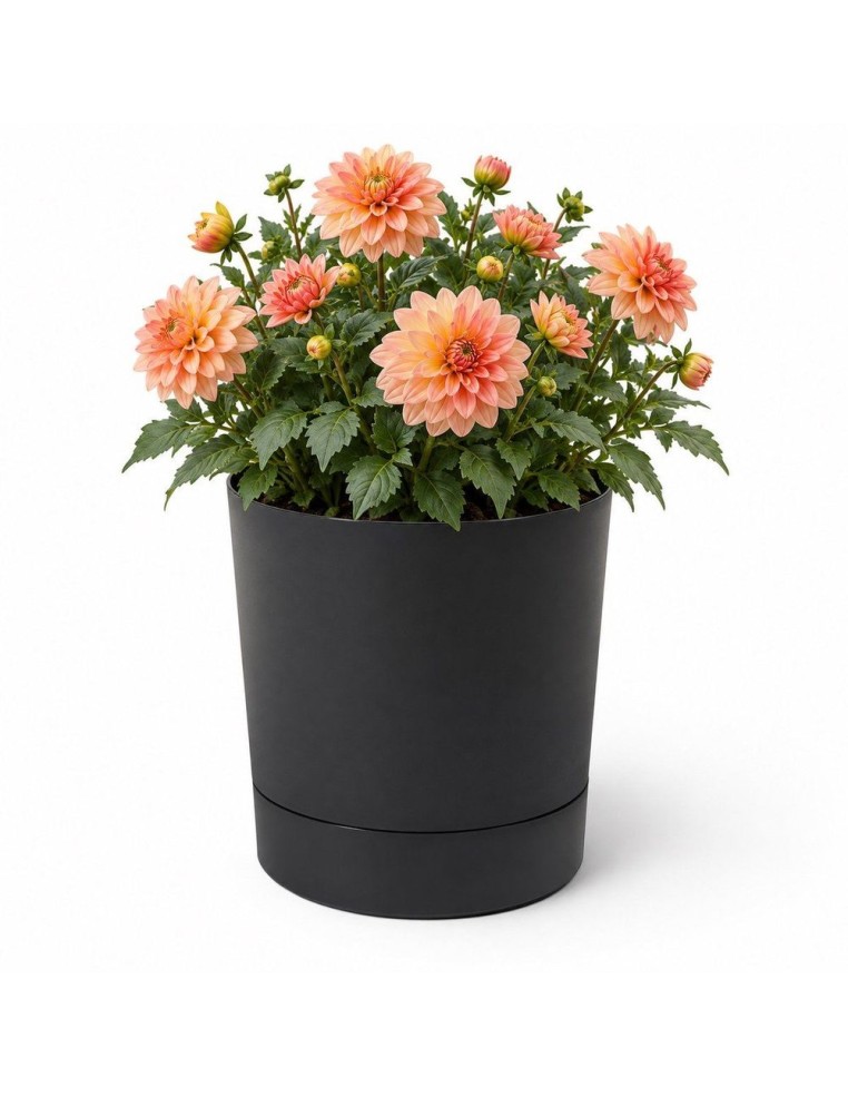 Übertopf rund Ø35 × 37 cm Matt, 25 L – Schwarz | Töpferkönig