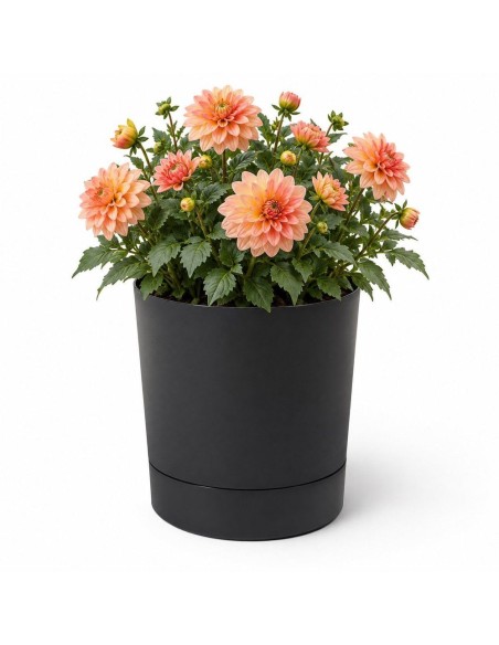 Cache-pot rond Ø35 × 37 cm mat, 25 L – Noir | Töpferkönig