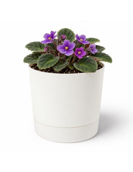 Cache-pot rond Ø11 × 12 cm mat, 0,7 L – Crème | Töpferkönig
