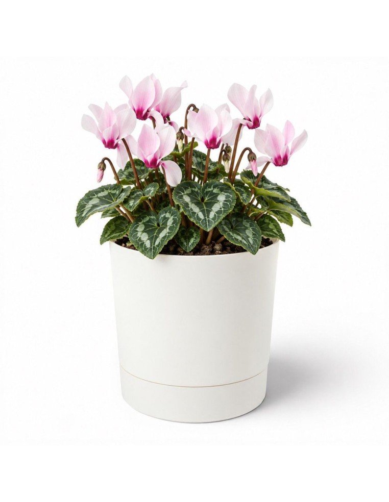 Übertopf rund Ø15 × 15 cm Matt, 1,8 L – Creme | Töpferkönig