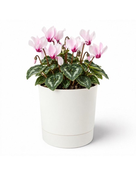 Coprivaso rotondo Ø15 × 15 cm opaco, 1,8 L – Crema | Töpferkönig