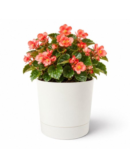 Coprivaso rotondo Ø18 × 19 cm opaco, 2,5 L – Crema | Töpferkönig