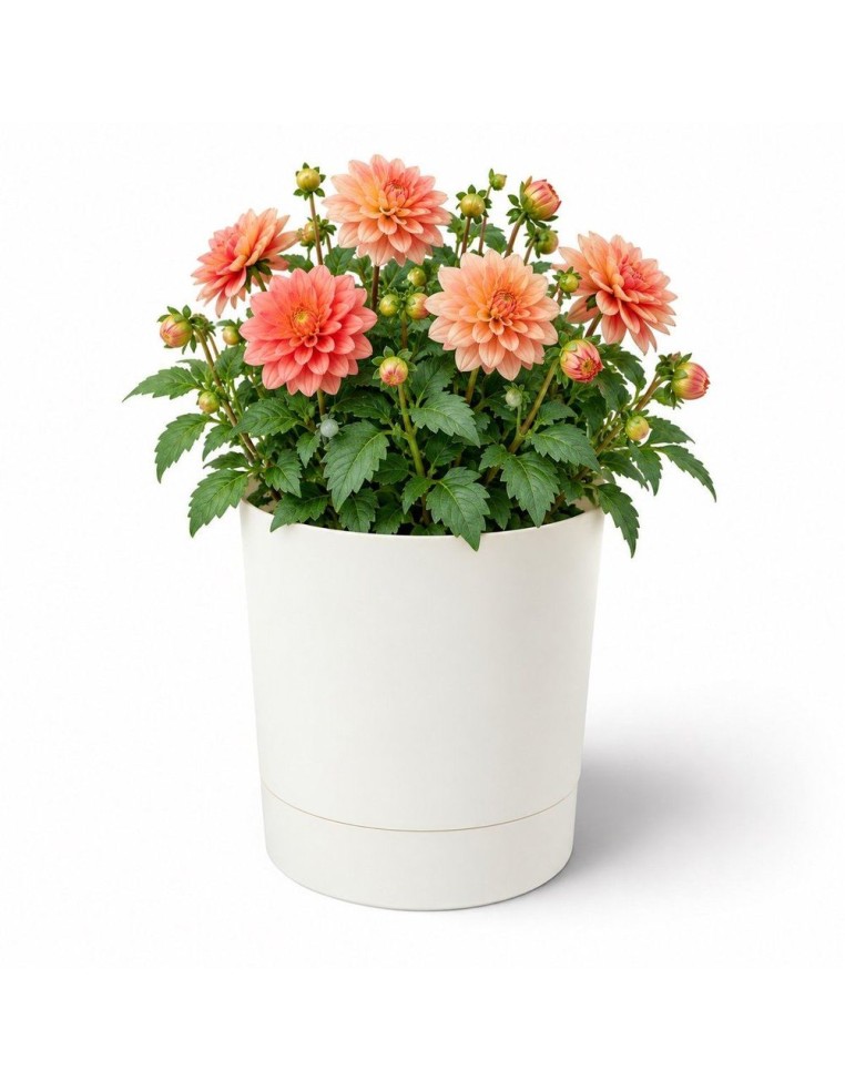 Cache-pot rond Ø35 × 37 cm mat, 25 L – Crème | Töpferkönig