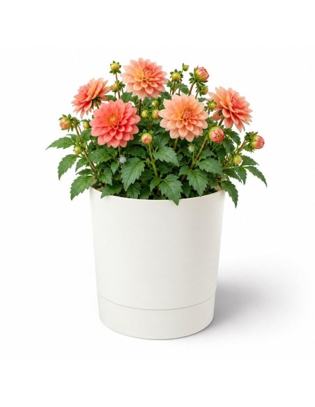 Übertopf rund Ø35 × 37 cm Matt, 25 L – Creme | Töpferkönig