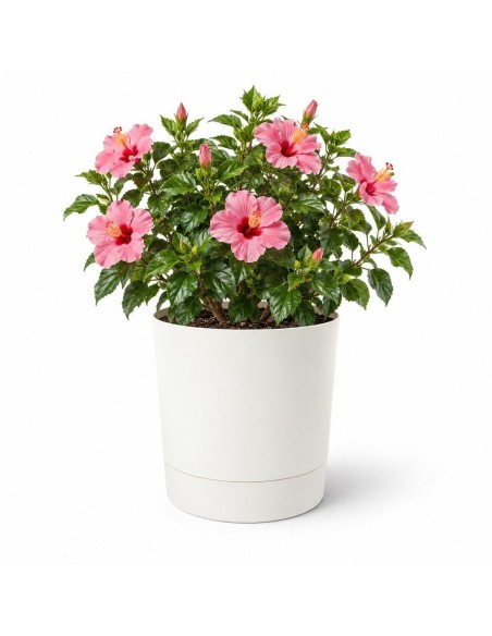 Cubremacetas redondo Ø38 × 40 cm mate, 33 L – Crema | Töpferkönig