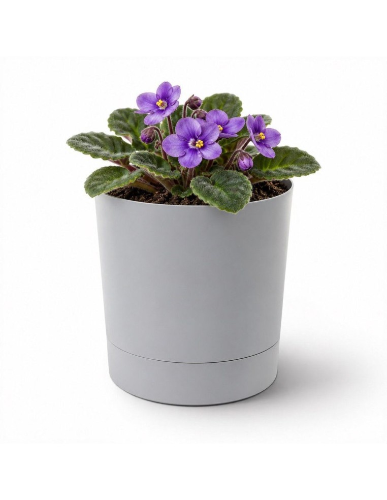 Cubremacetas redondo Ø11 × 12 cm mate, 0,7 L – Gris | Töpferkönig