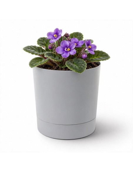 Übertopf rund Ø11 × 12 cm Matt, 0,7 L – Grau | Töpferkönig