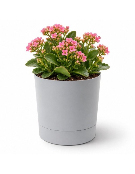 Sierpot rond Ø13 × 13 cm mat, 1,1 L – Grijs | Töpferkönig