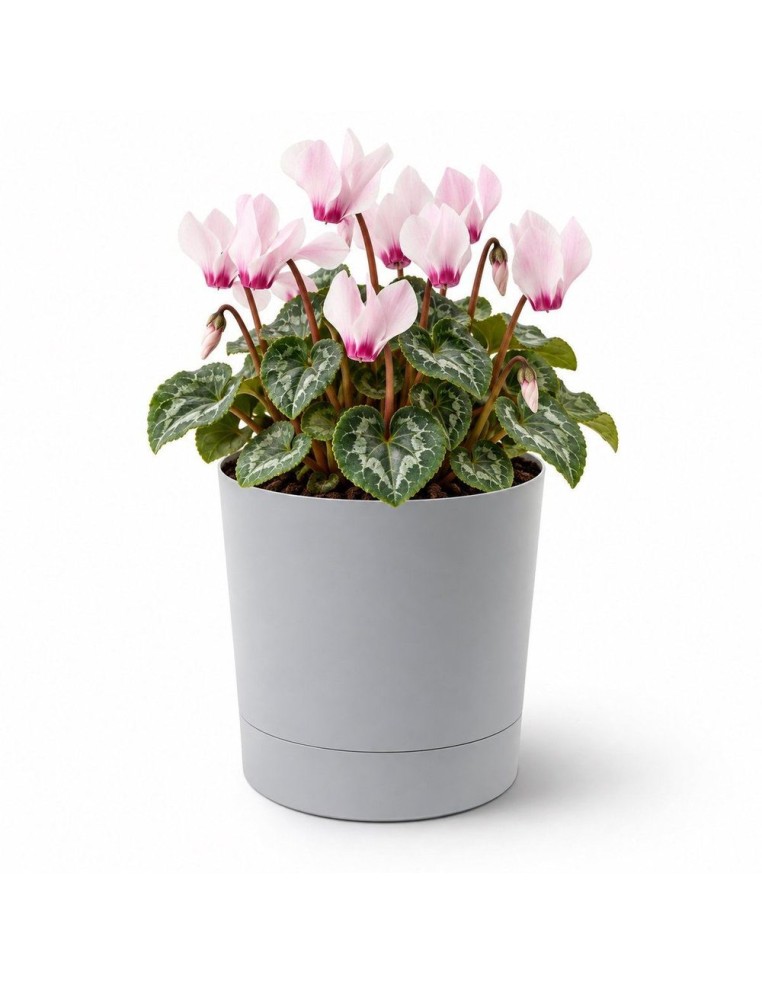 Übertopf rund Ø15 × 15 cm Matt, 1,8 L – Grau | Töpferkönig