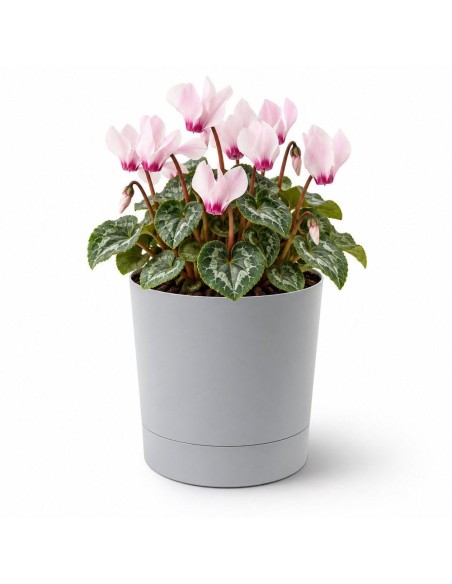Sierpot rond Ø15 × 15 cm mat, 1,8 L – Grijs | Töpferkönig
