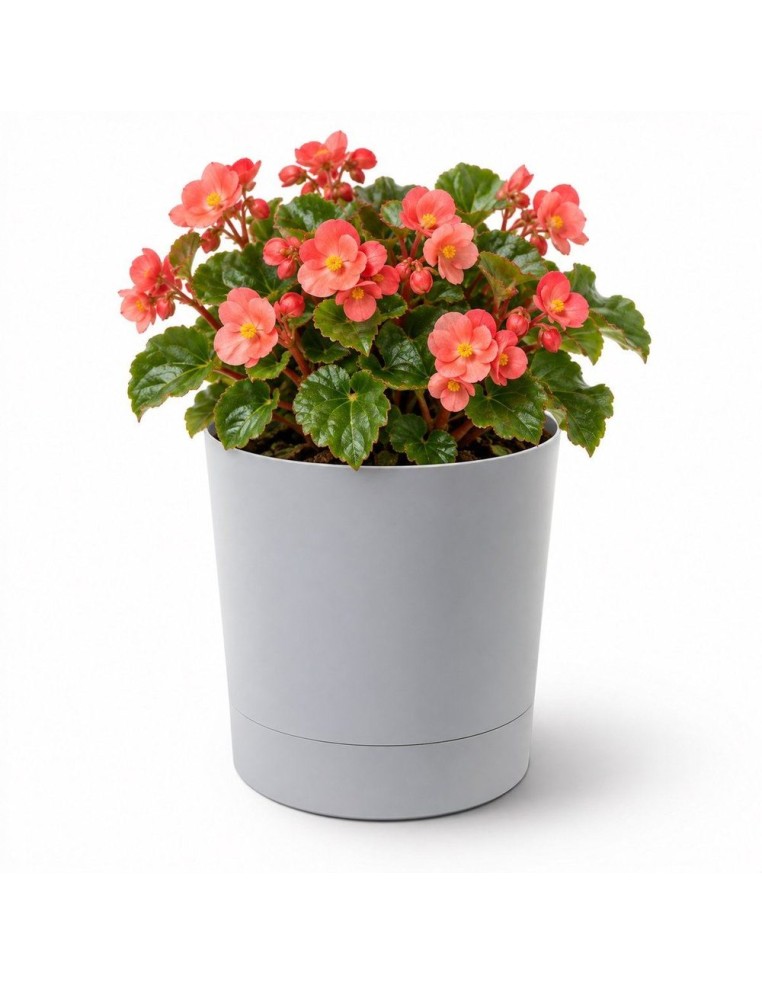 Sierpot rond Ø18 × 19 cm mat, 2,5 L – Grijs | Töpferkönig