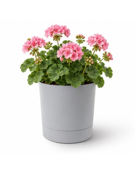 Cache-pot rond Ø23 × 24 cm mat, 7 L – Gris | Töpferkönig