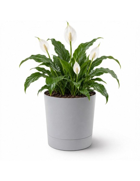 Sierpot rond Ø28 × 30 cm mat, 13 L – Grijs | Töpferkönig