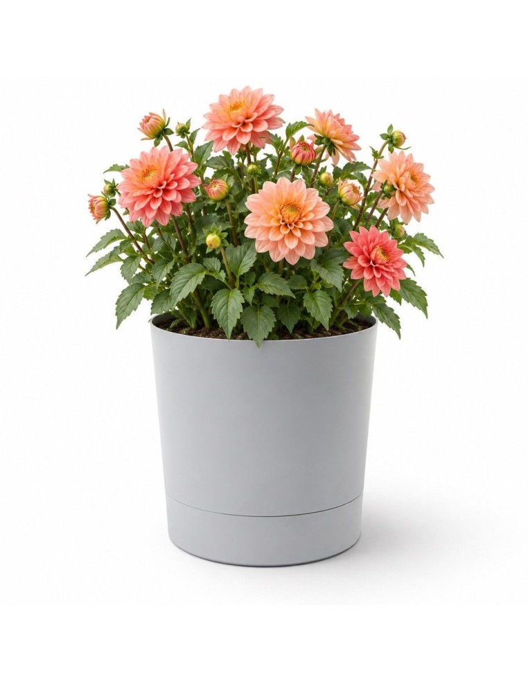 Cubremacetas redondo Ø35 × 37 cm mate, 25 L – Gris | Töpferkönig