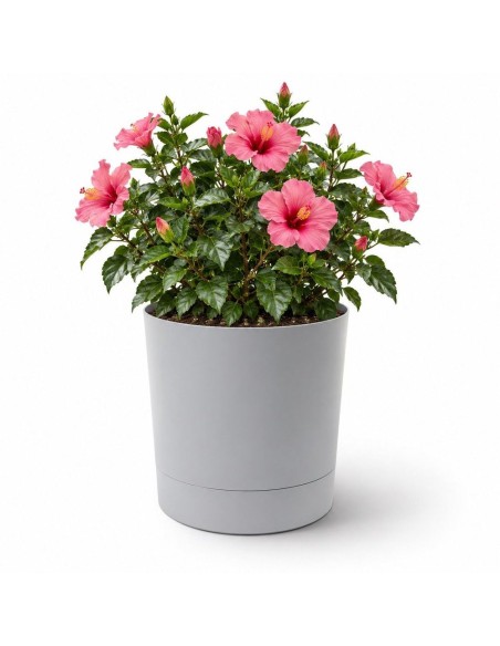 Cache-pot rond Ø38 × 40 cm mat, 33 L – Gris | Töpferkönig
