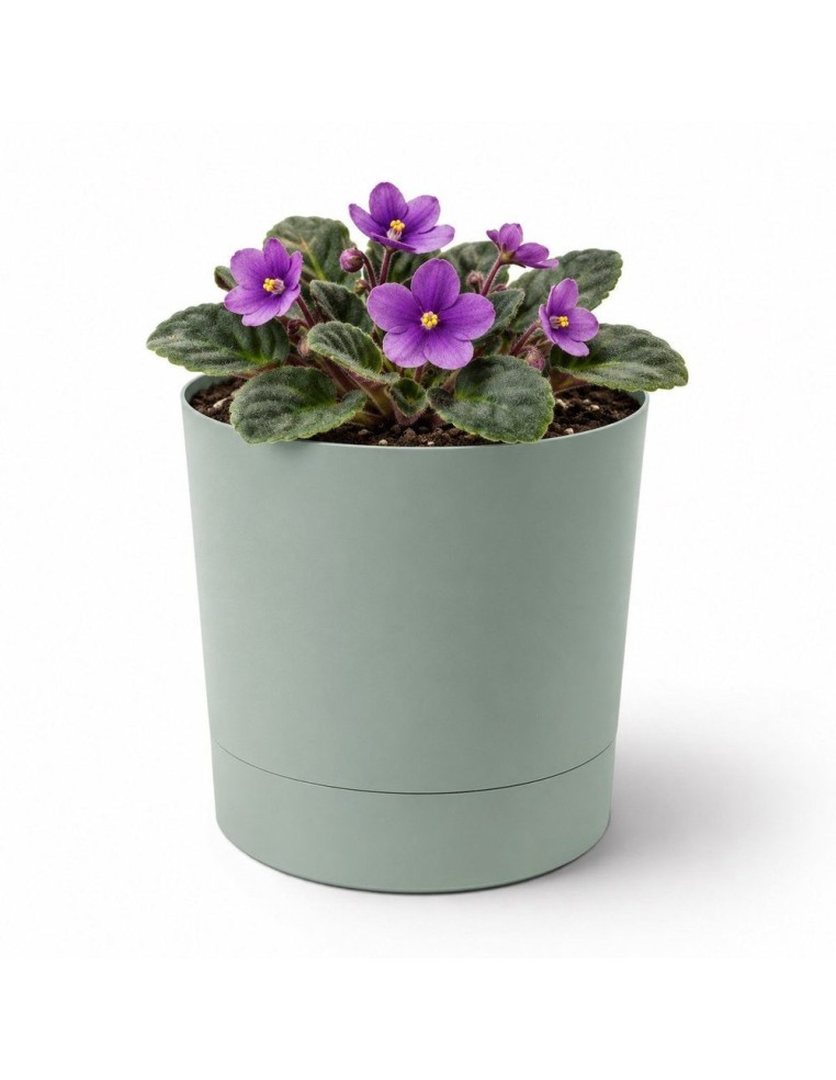 Sierpot rond Ø11 × 12 cm mat, 0,7 L – Groen | Töpferkönig