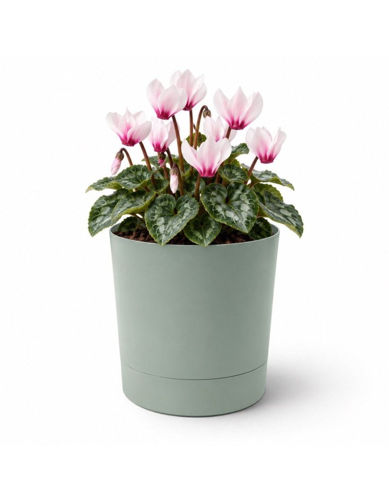 Cubremacetas redondo Ø15 × 15 cm mate, 1,8 L – Verde | Töpferkönig