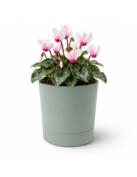 Übertopf rund Ø15 × 15 cm Matt, 1,8 L – Grün | Töpferkönig