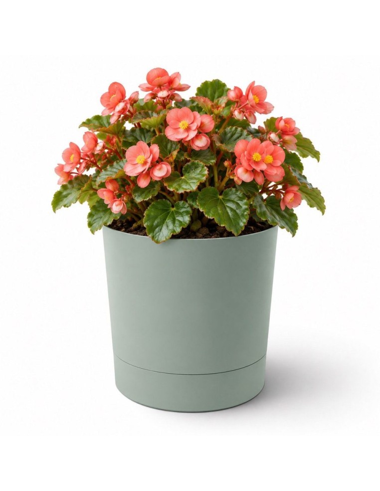 Übertopf rund Ø18 × 19 cm Matt, 2,5 L – Grün | Töpferkönig