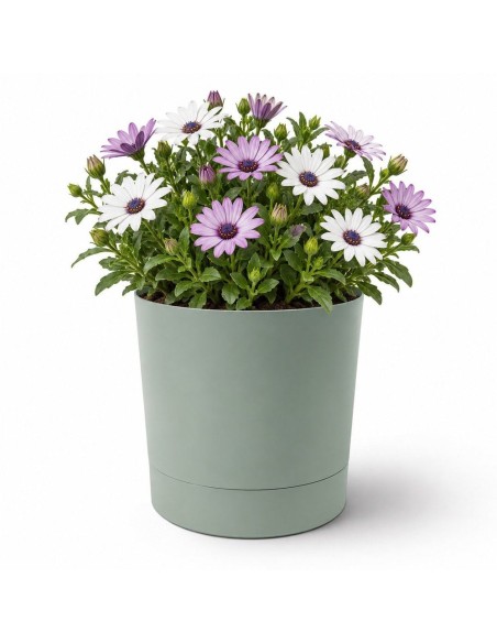 Cache-pot rond Ø20 × 21 cm mat, 4,7 L – Vert | Töpferkönig