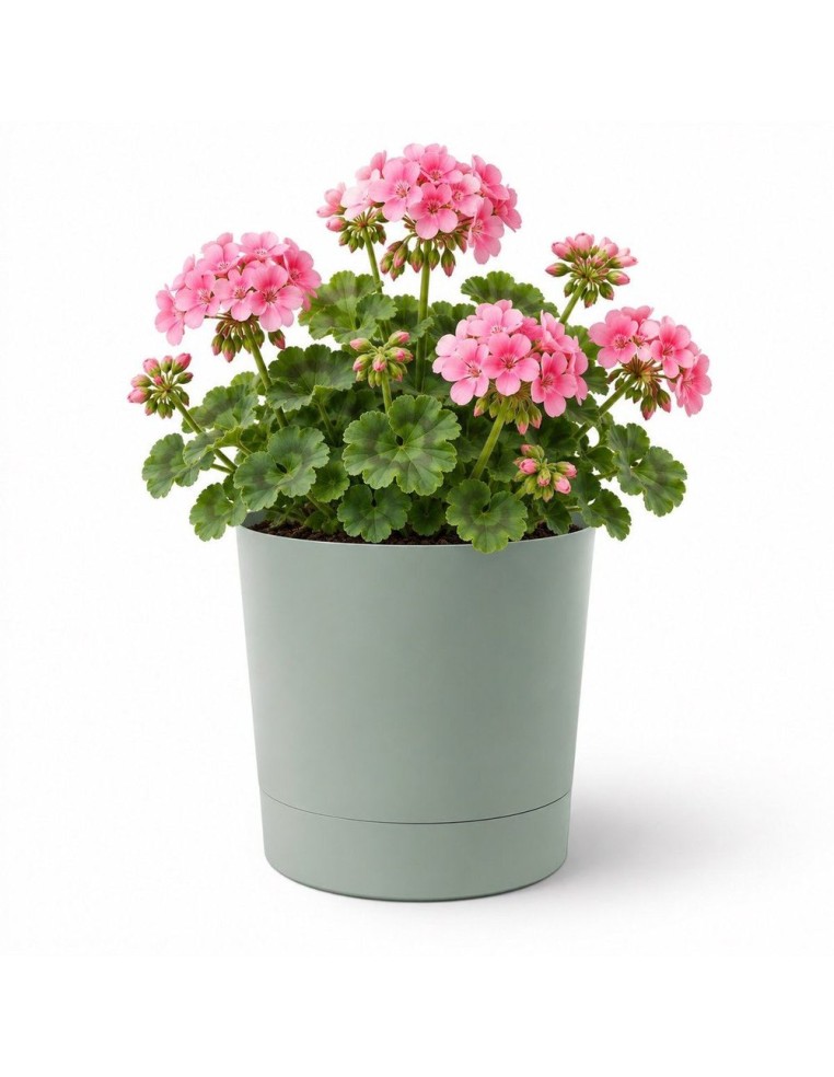 Übertopf rund Ø23 × 24 cm Matt, 7 L – Grün | Töpferkönig