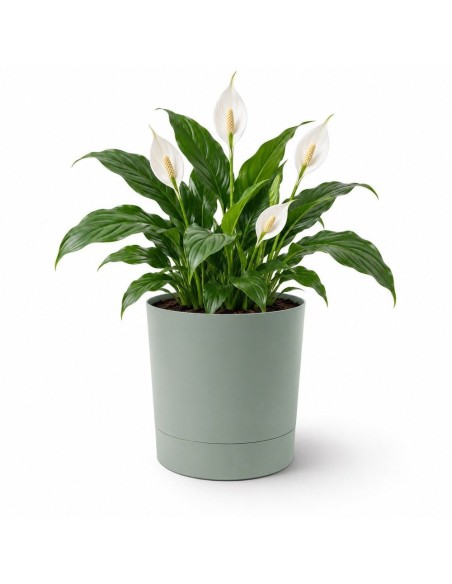 Cubremacetas redondo Ø28 × 30 cm mate, 13 L – Verde | Töpferkönig