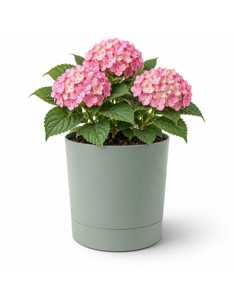 Sierpot rond Ø33 × 34 cm mat, 20 L – Groen | Töpferkönig