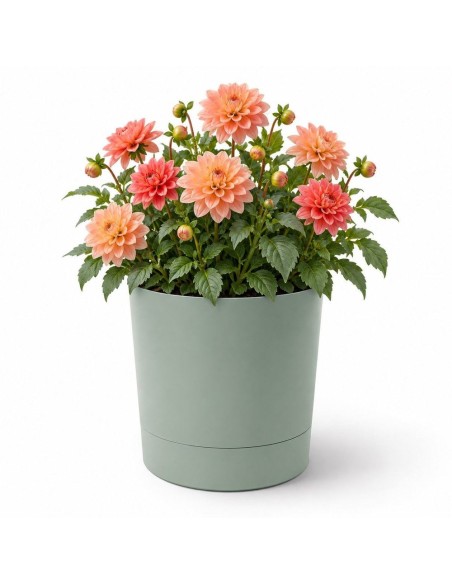 Cubremacetas redondo Ø35 × 37 cm mate, 25 L – Verde | Töpferkönig