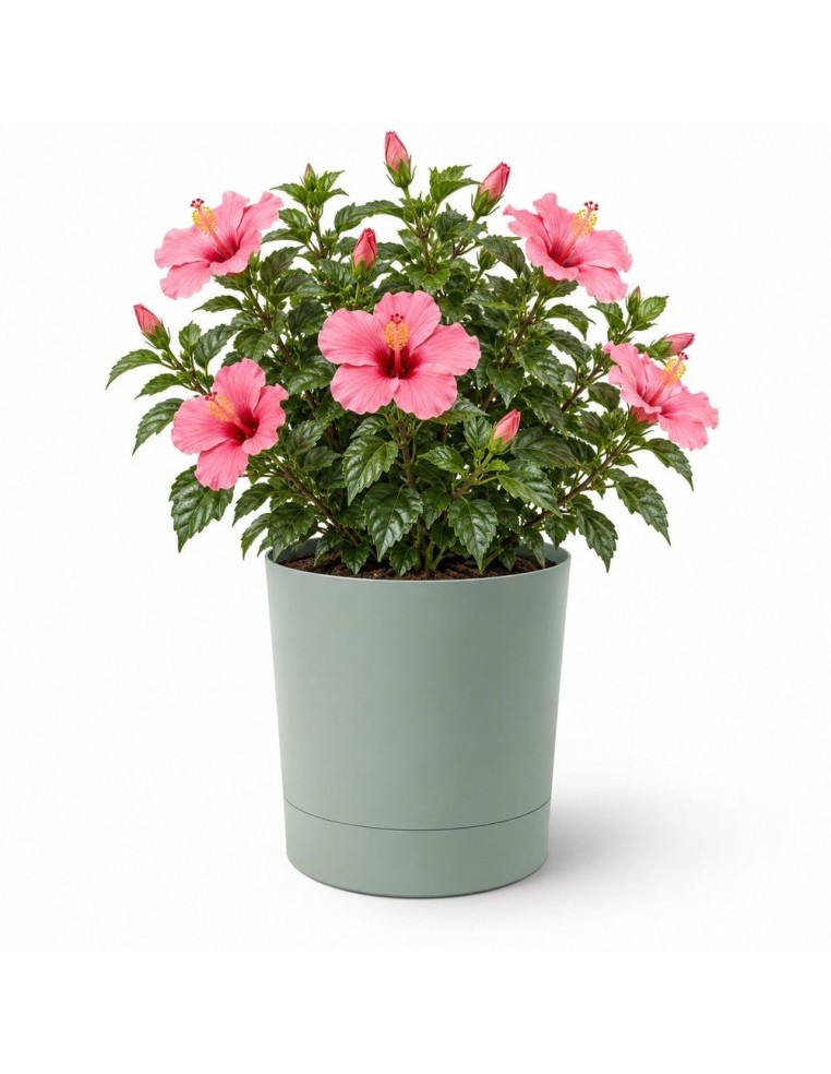Sierpot rond Ø38 × 40 cm mat, 33 L – Groen | Töpferkönig