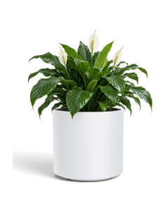 Vaso rotondo Ø30 × 29 cm opaco, 19 L – Bianco | Töpferkönig