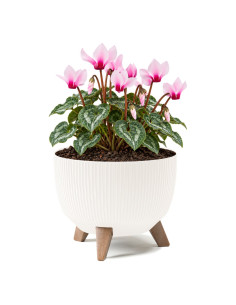 Pflanzschale rund gerillt M Ø29 × 23 cm, 9,3 L – Creme