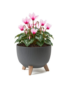 Pflanzschale rund gerillt M Ø29 × 23 cm, 9,3 L – Anthrazit