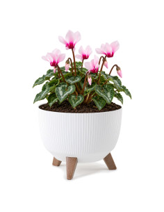 Cuenco para plantas redondo estriado M Ø29 × 23 cm, 9,3 L – Blanco