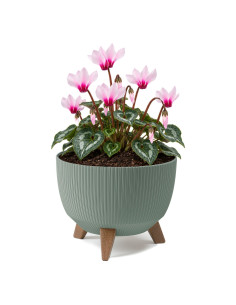Vasque ronde rainurée M Ø29 × 23 cm, 9,3 L – Vert