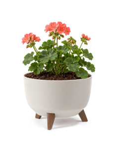 Pflanzschale rund M Ø29 × 23 cm Matt, 9,3 L – Baumwolle