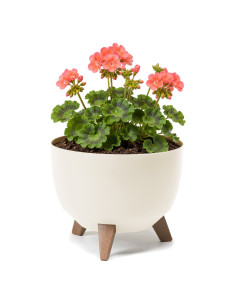Vasque ronde M Ø29 × 23 cm mate, 9,3 L – Crème
